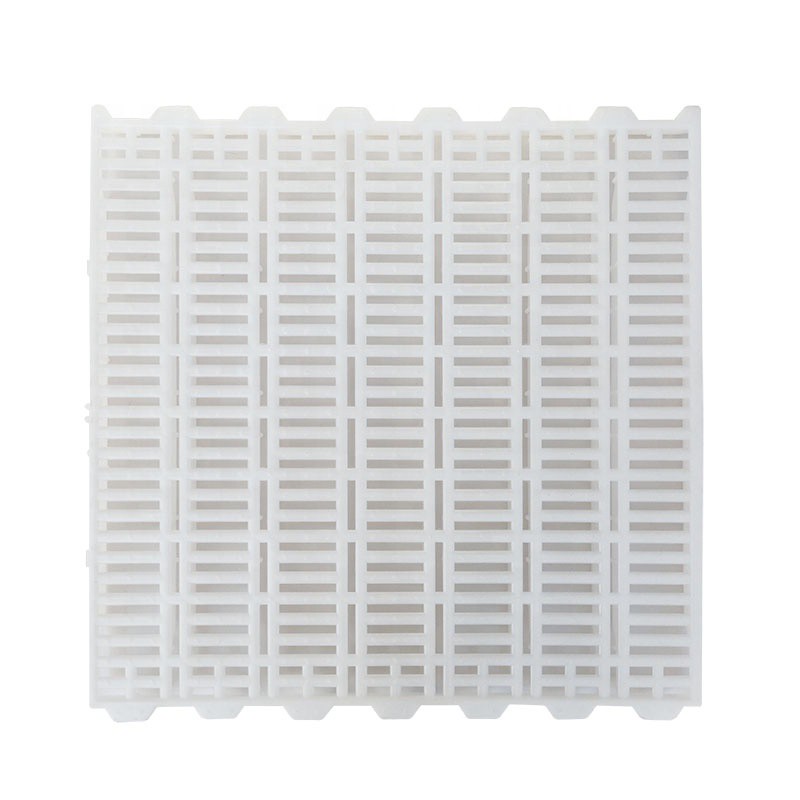 photobank 5 photobank 5