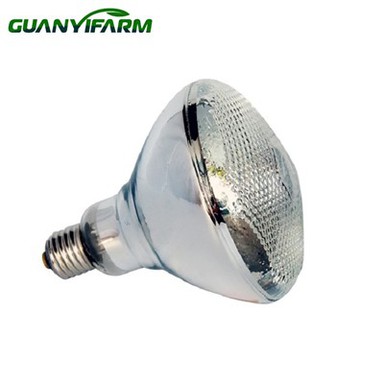 Hitalampi fyrir svín