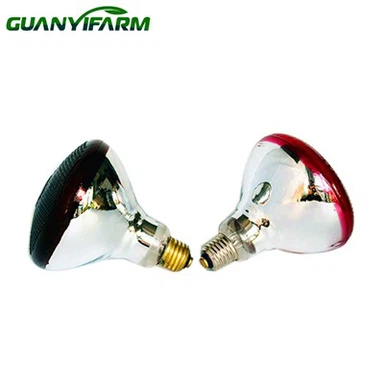 PAR38 kynbótahitalampi