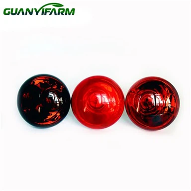 Toppsteikt rauð hitapera